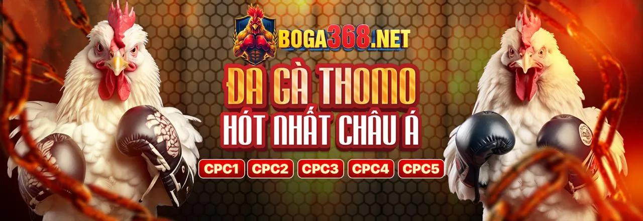 Đá gà trực tuyến kịch tính tại siglebet win